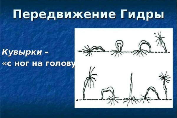 Kraken зеркало kraken dark link